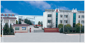 國產(chǎn)發(fā)電機(jī)廠家