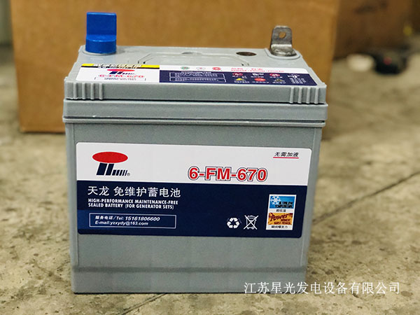 柴油發(fā)電機(jī)組蓄電池 柴油發(fā)電機(jī)組蓄電池